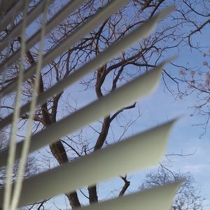 Meet your Posher, Alexa